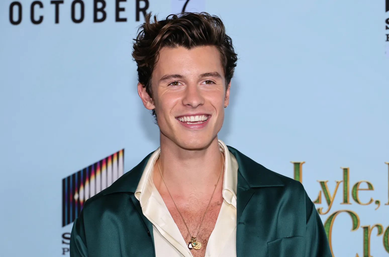 Shawn Mendes appears to address gay rumours in preview performance of new song, The Mountain